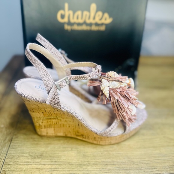 Charles David La Jolla Dark Blush Floral Raffia T-strap Wedge Platform Sandal - Picture 3 of 7